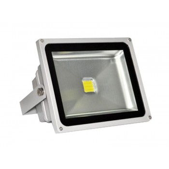 LED прожектор LFL 30W 220V